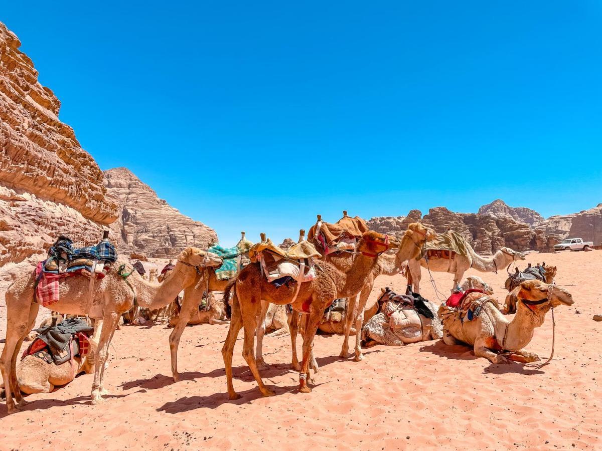 Rum Jordan Camp And Tours Ουάντι Ραμ Εξωτερικό φωτογραφία
